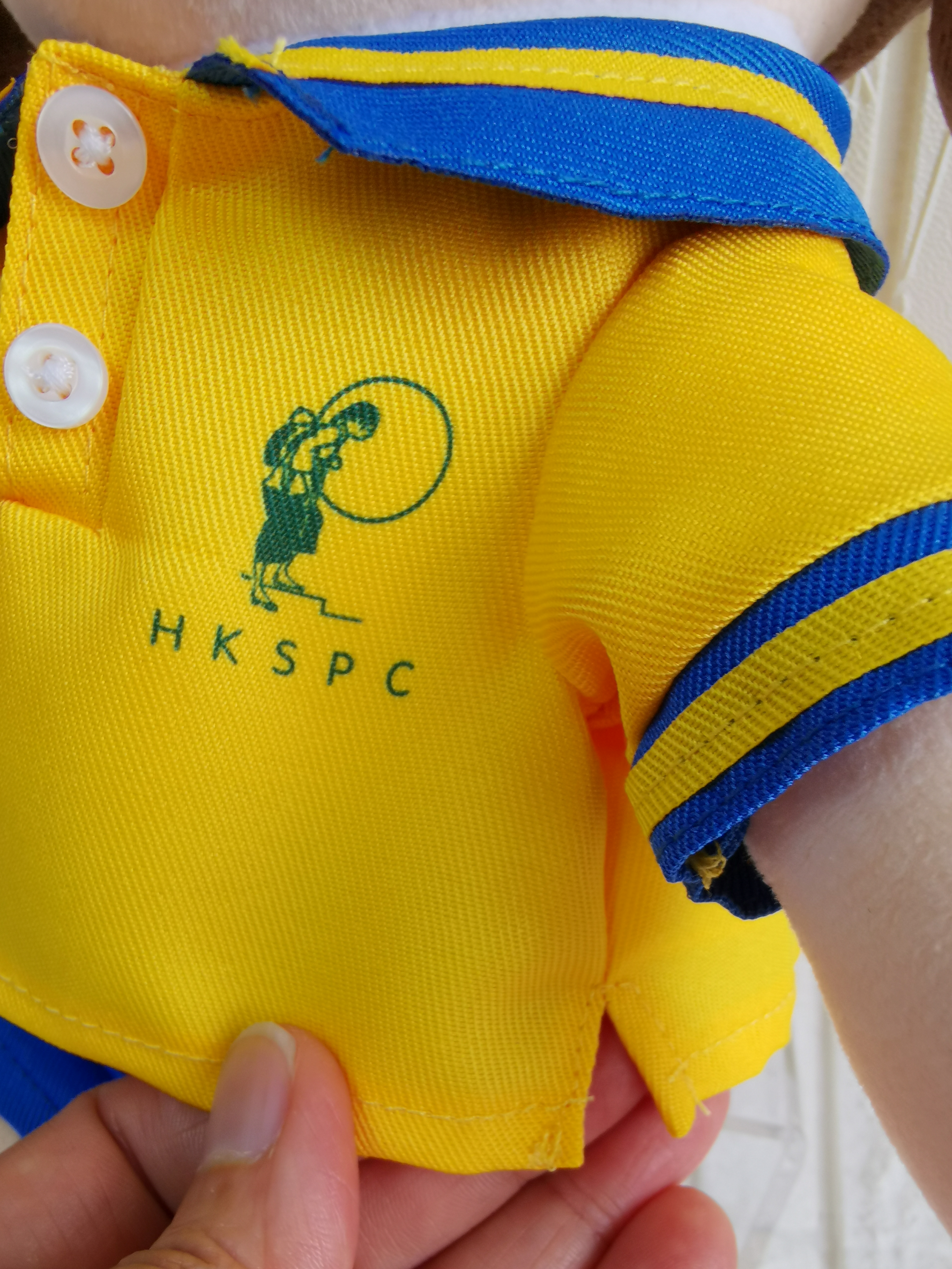 香港保護兒童會蝴蝶邨幼兒學校 產品照片（8/19）