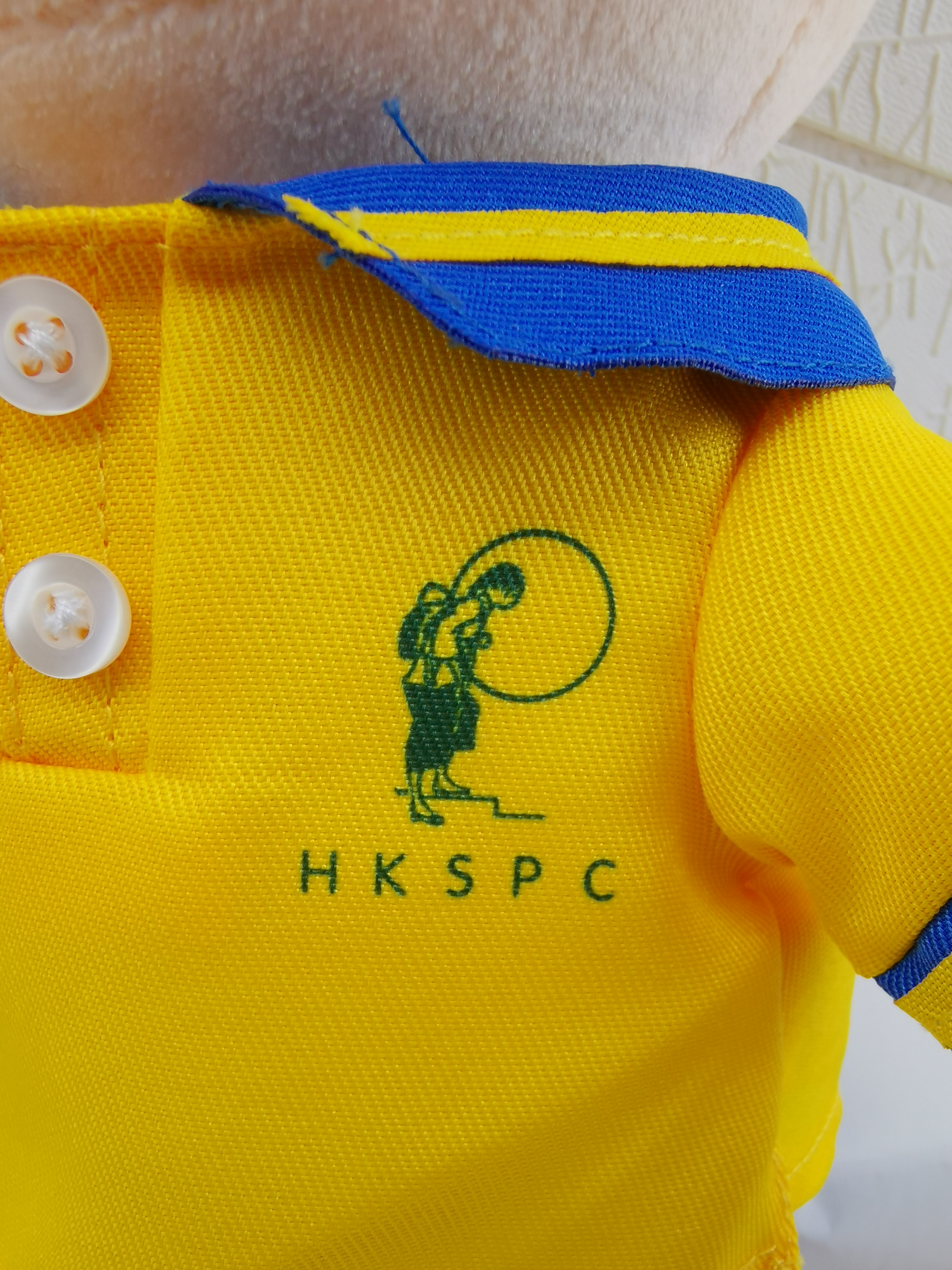 香港保護兒童會蝴蝶邨幼兒學校 產品照片（17/19）