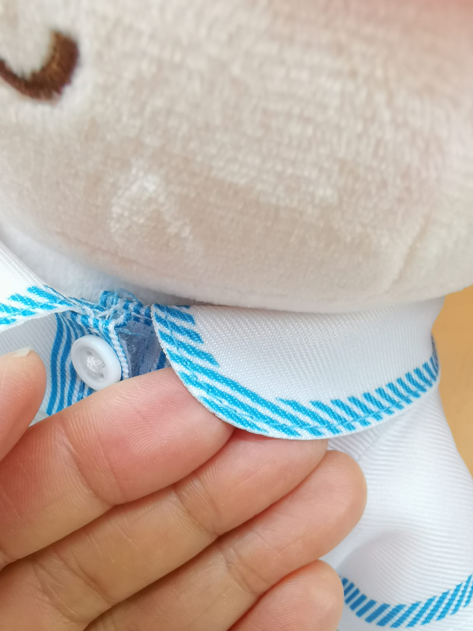 青衣商會天水圍幼稚園 產品照片（10/24）