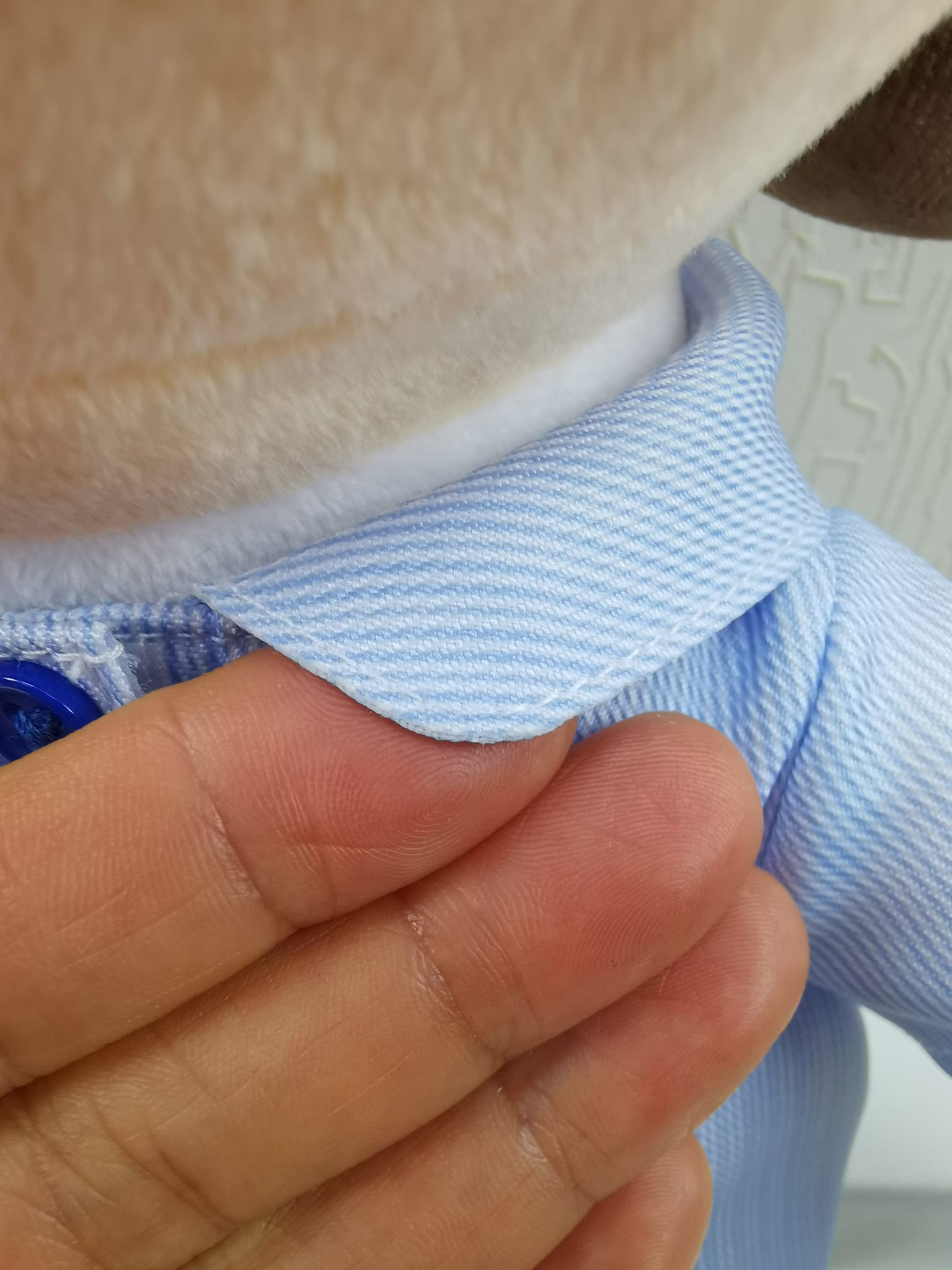 崇真小學暨幼稚園 產品照片（10/13）